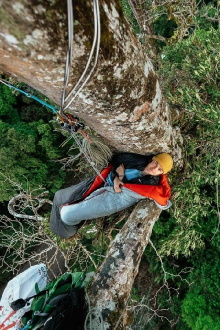 Canopy Climbers Trailer