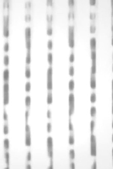 Capture d’écran #1 Trailer