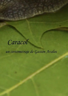 Caracol Trailer