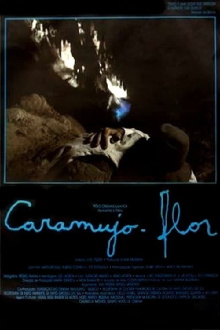 Caramujo-Flor Trailer