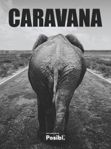 Caravan Trailer