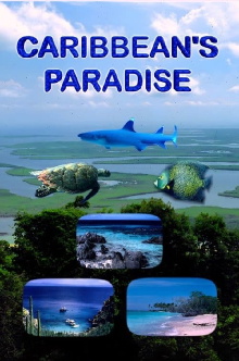 Caribbean's Paradise Trailer