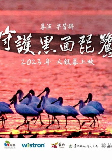 Caring for Black-Faced Spoonbill Trailer