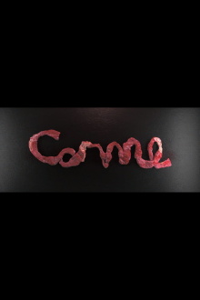 Carne Trailer