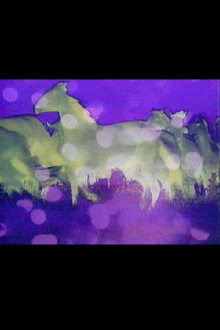 Carrousel Trailer