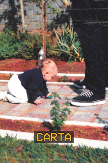carta Trailer