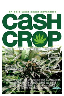 Cash Crop Trailer