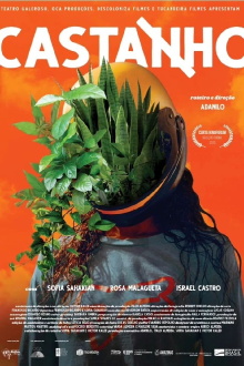 Castanho Trailer