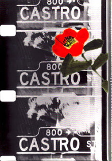 Castro Street Trailer