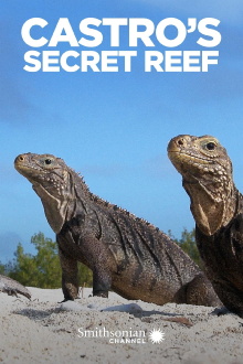 Castro's Secret Reef Trailer