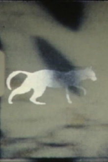 cat-e-gory Trailer