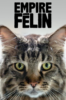 Cat Empire Trailer