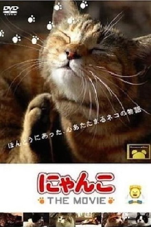 Cat Story The Movie 1 Trailer