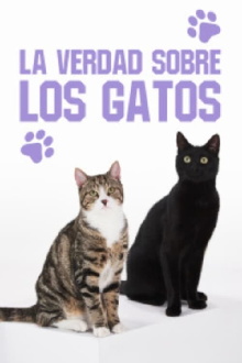 Cat Tales Trailer