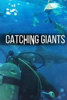 Catching Giants: Zambezi Shark Trailer