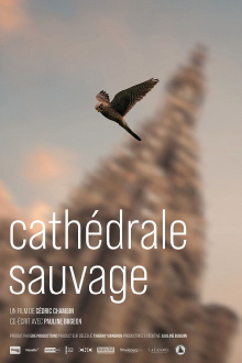 Cathédrale sauvage Trailer