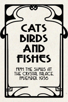 Cats, Birds and Fishes Trailer
