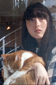 Cat's Home Trailer