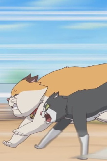 Cats Run Trailer