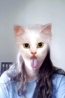 cats spirt spsit spit Trailer