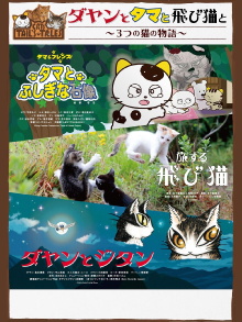 Cats Tail's Tales Trailer