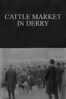 Cattle Market in Derry Trailer