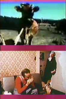 Cattle Mutilation Trailer