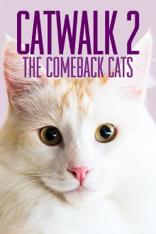Catwalk 2: The Comeback Cats Trailer