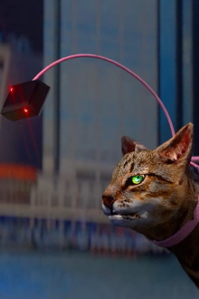 Catwalker and the Catwalker’s Intern Trailer