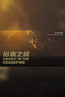 Caught in the ceasefire Trailer