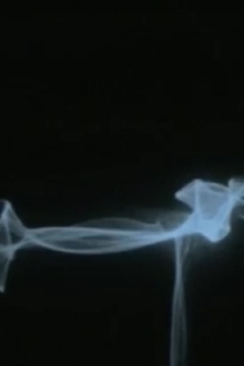 Caustiques Trailer