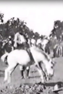 Cavalier sur un cheval rétif Trailer