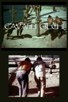 Cavalli ciechi Trailer