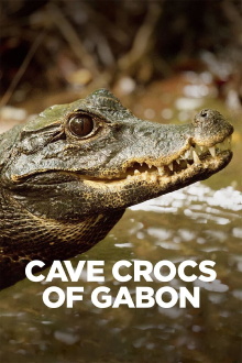 Cave Crocs of Gabon Trailer