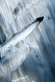 Cave Painting Trailer