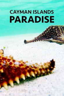 Cayman Islands: Paradise Trailer