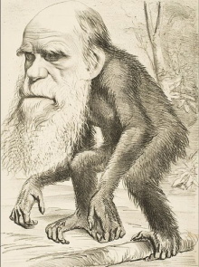 Ce que Darwin ne savait pas encore Trailer