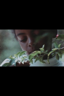 Celebration of Life: Trees Trailer