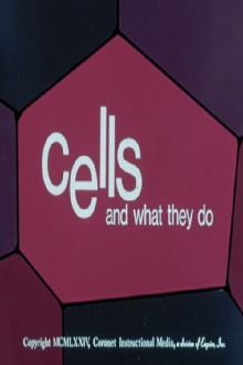 Cells and What They Do Trailer