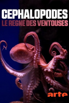 Cephalopods: The Reign of Suckers Trailer