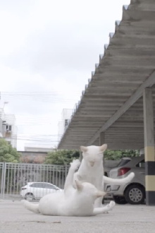 Cercanias / Gatos Trailer
