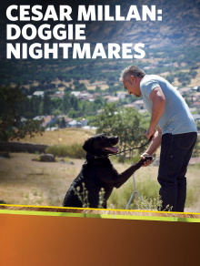 Cesar Millan: Doggie Nightmares Trailer