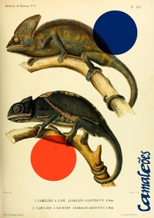 Chameleons Trailer