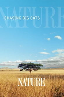 Chasing Big Cats Trailer