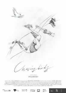 Chasing Birds Trailer