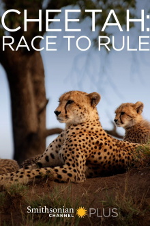 Cheetah: Race to Rule Trailer