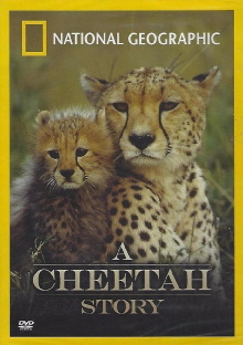 Cheetah Story Trailer