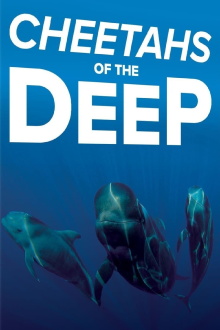 Cheetahs of the Deep Trailer