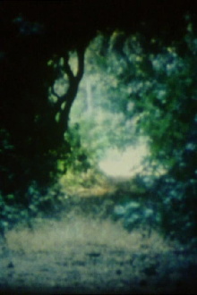 Chemins Trailer
