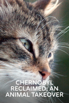 Chernobyl Reclaimed: An Animal Takeover Trailer